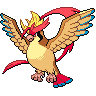 Mega Pidgeot