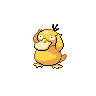 Psyduck