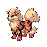 Shiny Arcanine