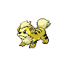 Shiny Growlithe