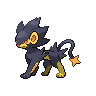 Shiny Luxray