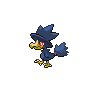 Shiny Murkrow