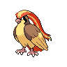 Shiny Pidgeot