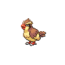 Shiny Pidgey
