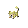 Shiny Rattata