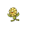 Shiny Sunflora