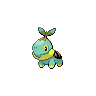 Shiny Turtwig
