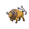 Tauros